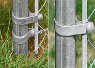 » recinto d'acciaio galvanizzato Fittings del collegamento a catena della banda di tensione 120mm 1-3/8