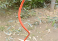 Montaggi del recinto del collegamento a catena del cavo 5.5MM di sostegno della pianta di pomodori di Sprial