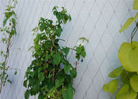 Reticolato rampicante inanellato delle piante 7x7 1.6mm del traliccio del giardino