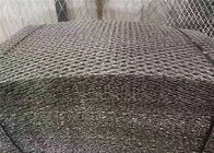recinzione del cavo della lama saldata 100X100mm fatta dal reticolato diritto della lama