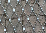 Il puntale della facciata di verde di acciaio inossidabile Webnet del reticolato del traliccio della pianta dello scalatore cabla 7 x 7