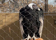 il cavo metallico Mesh Animal Enclosure Netting Ce di acciaio inossidabile 7x7 ha elencato per lo zoo