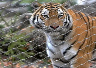 lo zoo Mesh Enclosure Netting X di acciaio inossidabile di 7x19 Tiger Metal 1.2mm tende a forma di