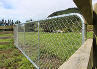 Portone durevole del recinto della maglia del collegamento a catena per la recinzione animale del ranch dei cervi