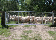 Portone galvanizzato caldo del recinto di lunghezza a catena di 75X75MM per l'iarda delle pecore
