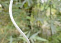 bastone di spirale del pomodoro del cavo di lunghezza 5.5MM di 1.8M per il giardino