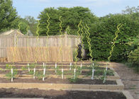 bastone di spirale del pomodoro del cavo di lunghezza 5.5MM di 1.8M per il giardino