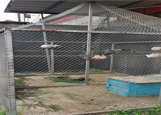7x7 SS316 25mm ha annodato la corda Mesh Fence For Parrot Bird