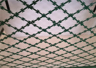 Bto 30 ha galvanizzato il recinto di filo metallico del rasoio di 15cm x di 7.5cm