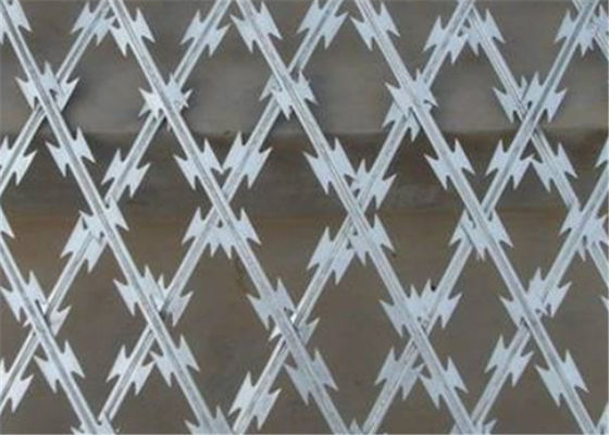 Recinto Straight Razor Wire