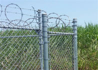9 calibro 5*5cm 6 piedi di recinto Galvanized Diamond Mesh Wire For Farm del collegamento a catena