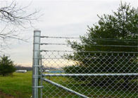 4 Ft X azienda agricola del tessuto di verde del confine della barriera di Mesh Fence Steel Backyard Home del collegamento a catena da 50 Ft